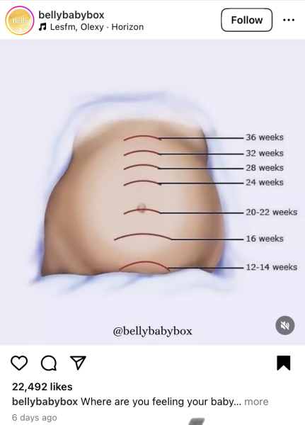 September 2024 - Thread 7! 🐣🧡💛❤️