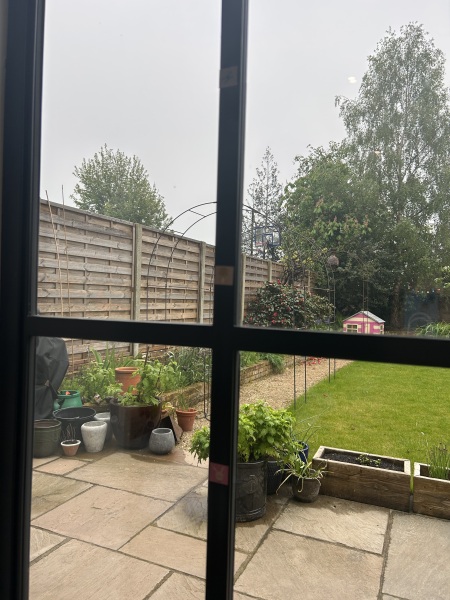Climber suggestions for south facing garden