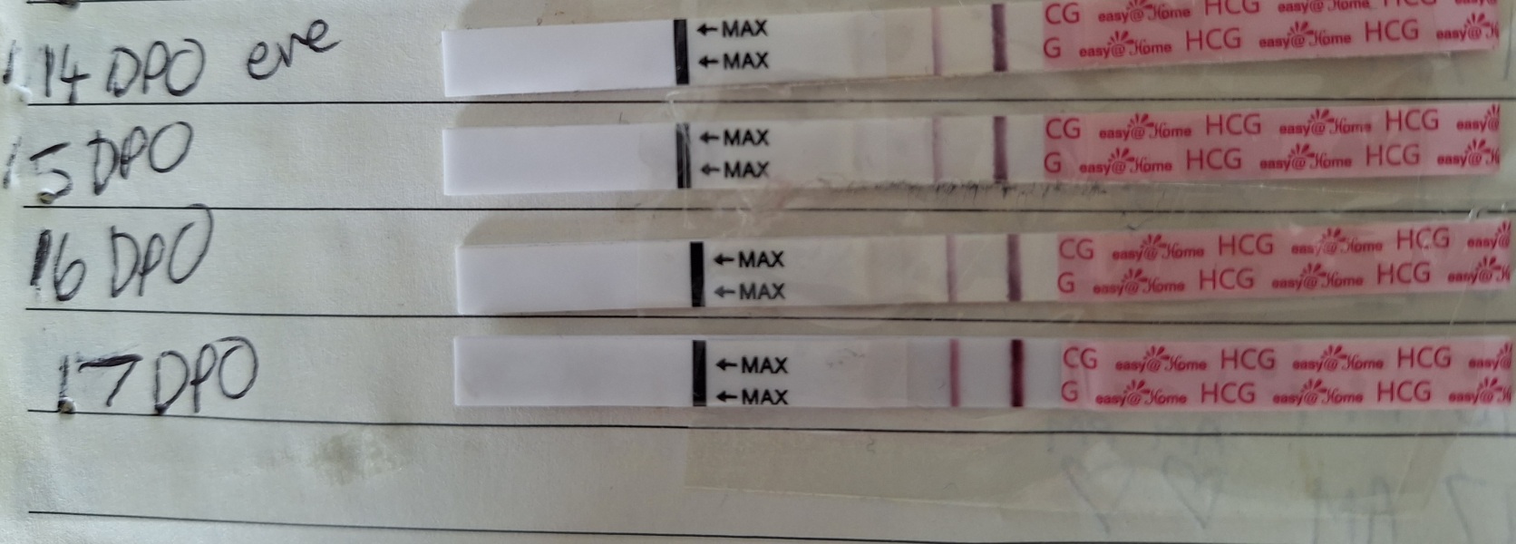 Anyone want to join for two week wait?