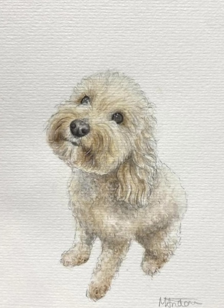 Is DD’s art work good enough to sell.