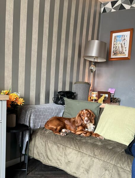 Puppy Survival Thread for New and Old Pups - Spring is around the corner!