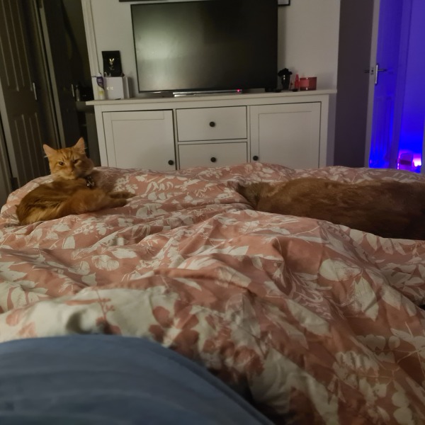 Why are you awake?