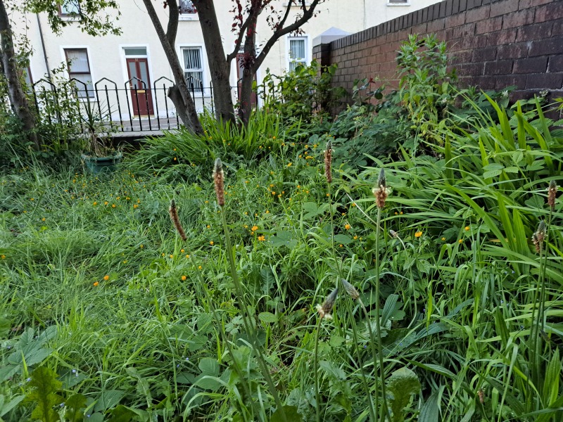 Thread 47 Sunak : The Ship of Fools sails on