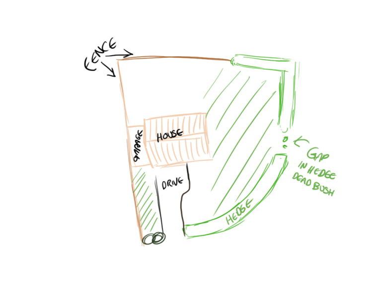 Fencing garden and screening hedge gaps