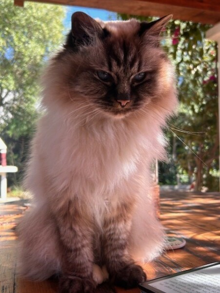 Expressions of noble disappointment please