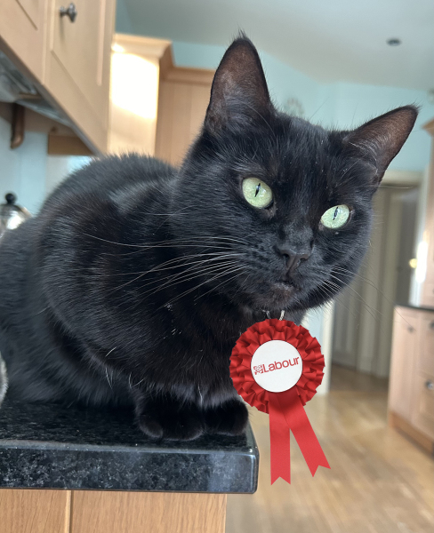 Thread 47 Sunak : The Ship of Fools sails on