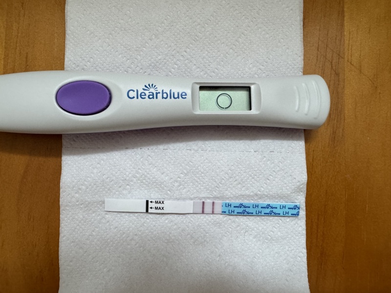CD1 ttc after loss carry on thread #3