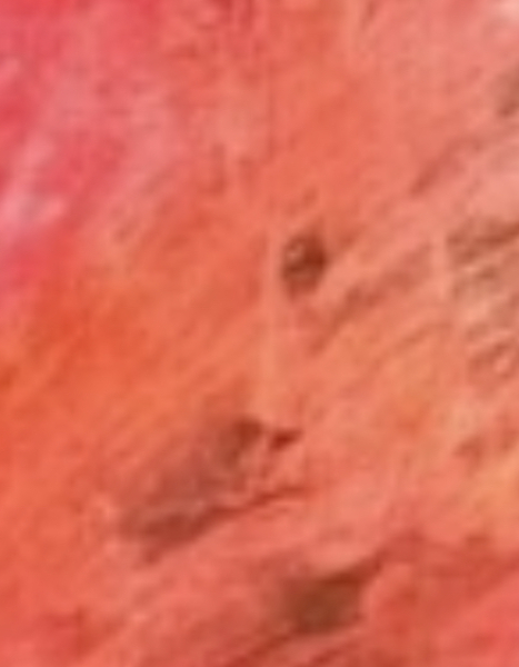 King’s new portrait- I spy edition