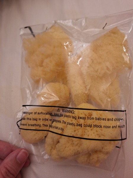 Natural Sea Sponge