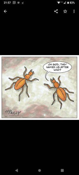 Women's rights general conversations - Thread 8