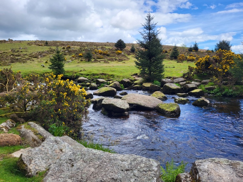 To ask you to show me your beautiful parts of the country