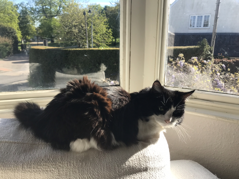 Kidney failure - any food suggestions please?