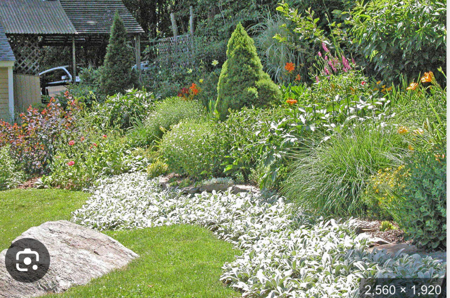 Alternatives to grass up a sloped front garden?