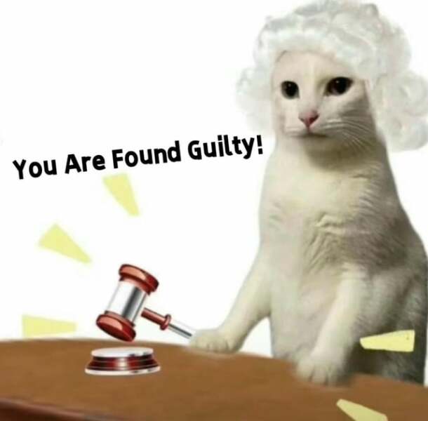 Machiavellian Misbehaviour- the Excellent Cats Deny Everything