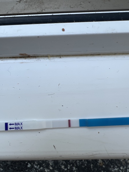 5dpo today!