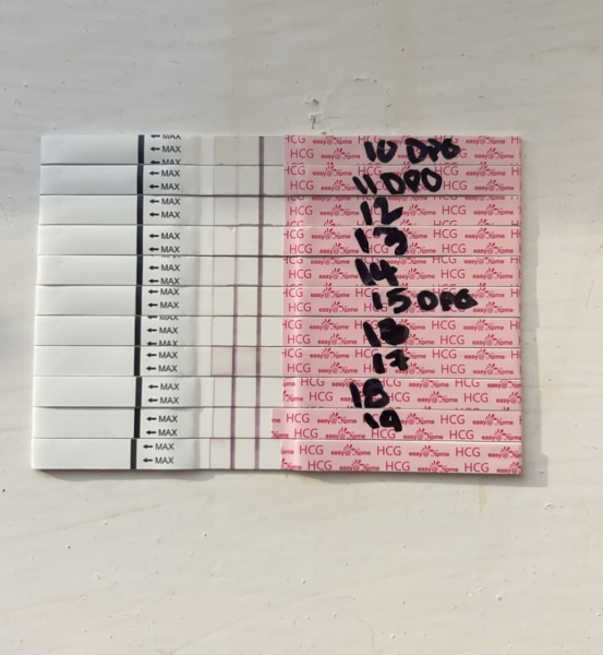 Anyone want to join for two week wait?