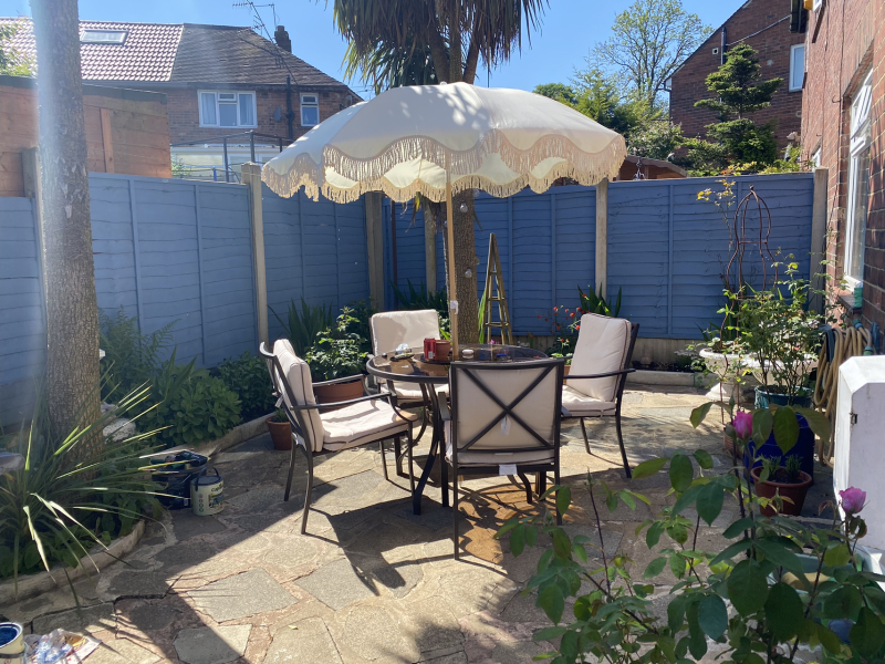 What have you done in the garden today? Part 5