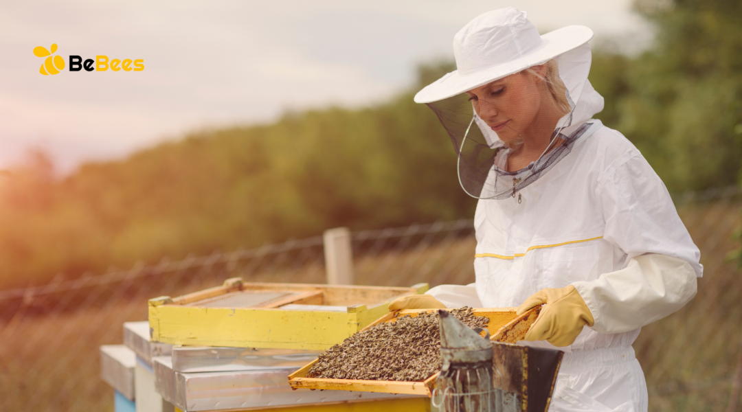 Hello Fellow Beekeepers!