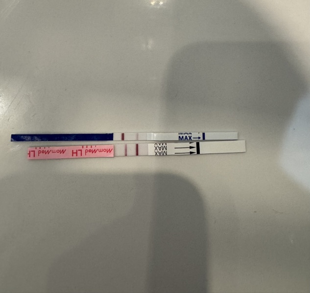 TTC after miscarriage