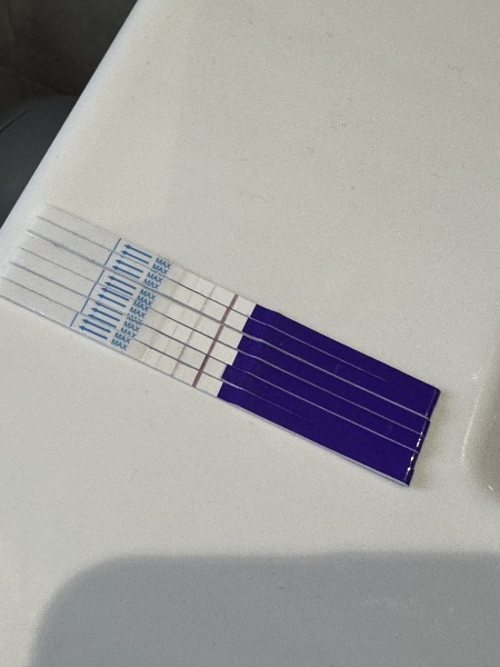 Please help - line progression? Success stories needed