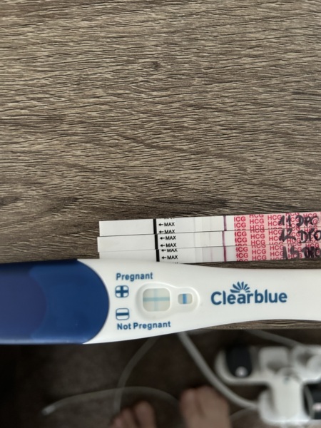 13 DPO