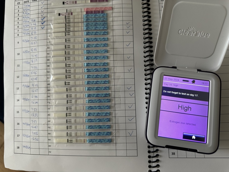 TTC after chemical pregnancy