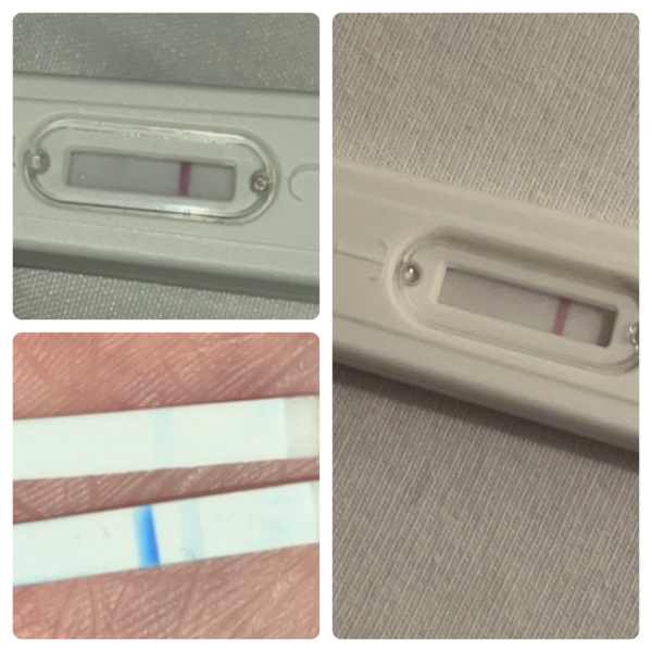 Am I pregnant or a chemical pregnancy?
