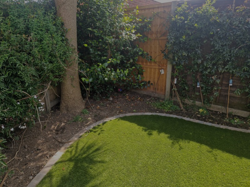 What can I plant here?