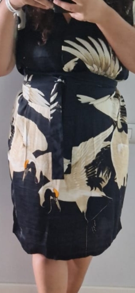 Dress for Dinner - help please!