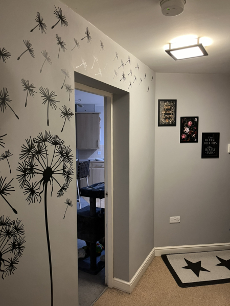 New home and struggling, help needed.