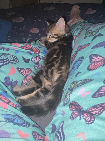 Why are you awake?
