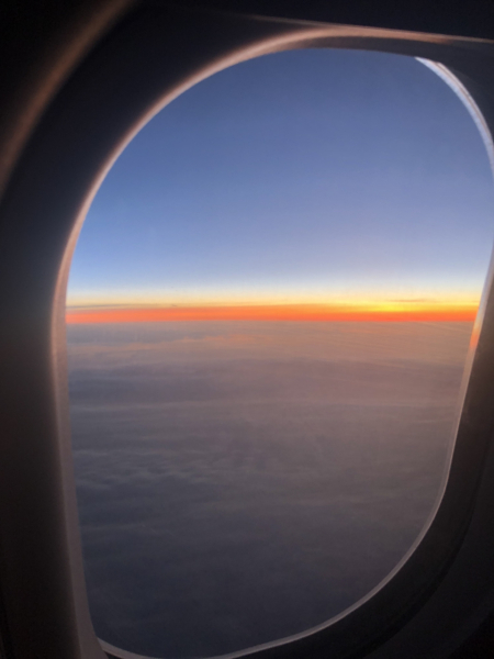 Terrified of flying