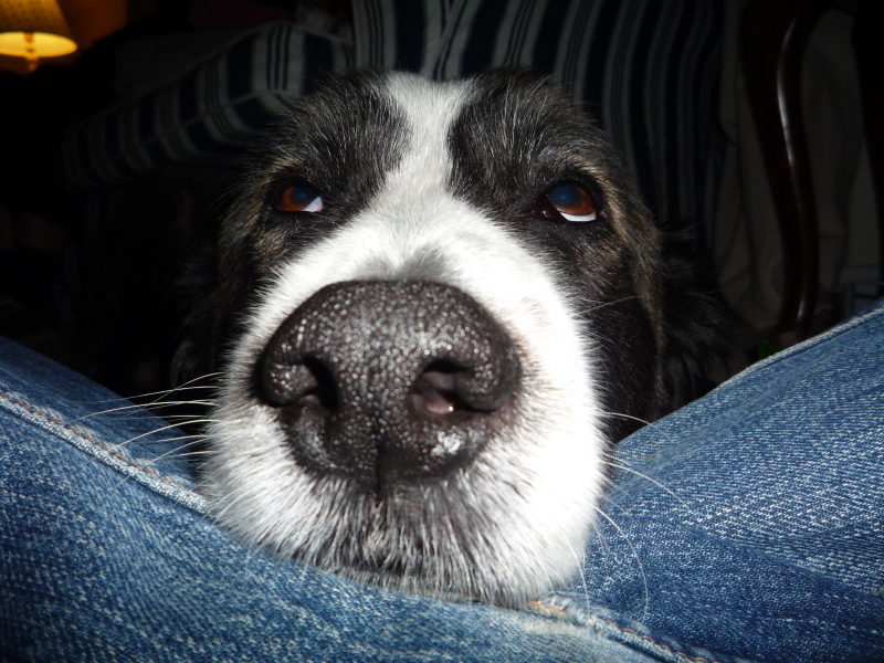 Thread 47 Sunak : The Ship of Fools sails on