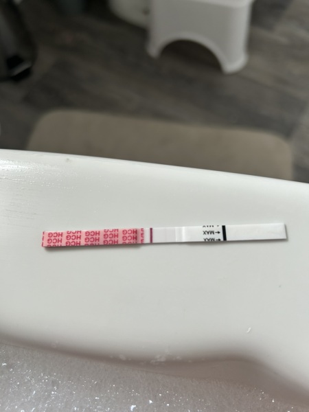 Pregnant after miscarriage?