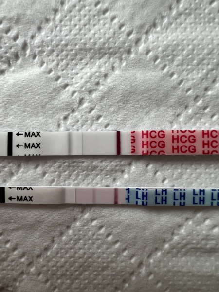 A line eye enthusiast #2