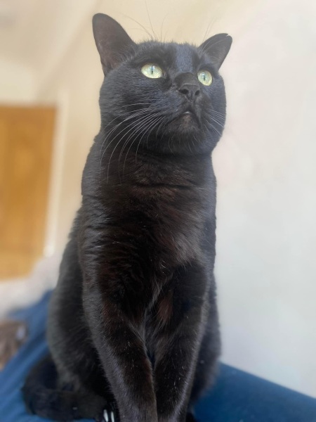 My beautiful boy is gone