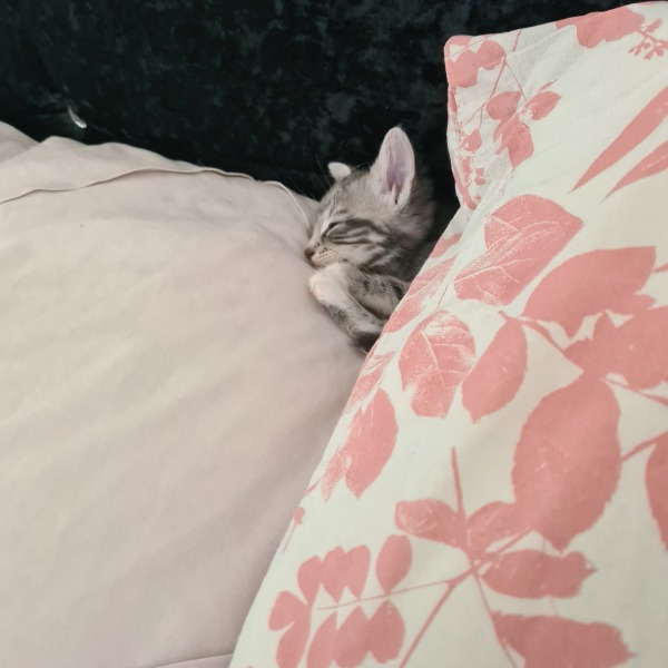 Why are you awake?