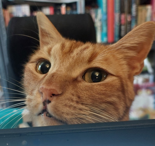 Thread 45 Sunak; Remove one letter and tell his future"