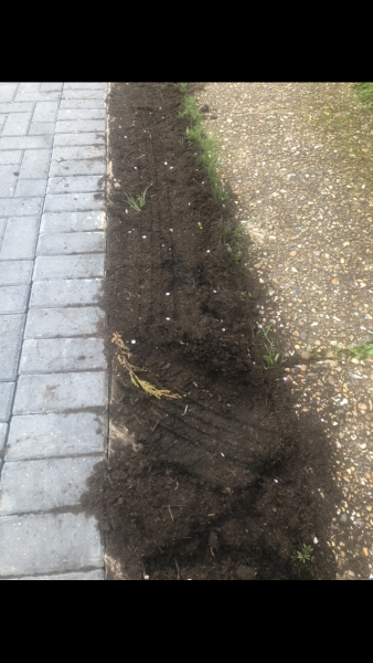 To put spikes in my front driveway flower bed.