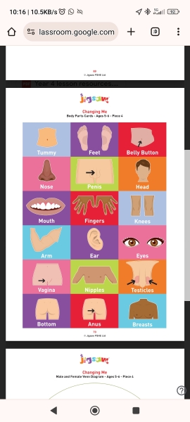 Yr1 Sex Education