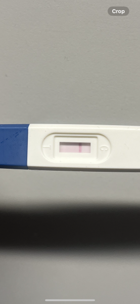 Line eyes again please!