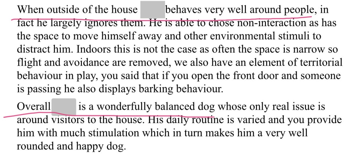 GSD randomly barked at man putting out his bins