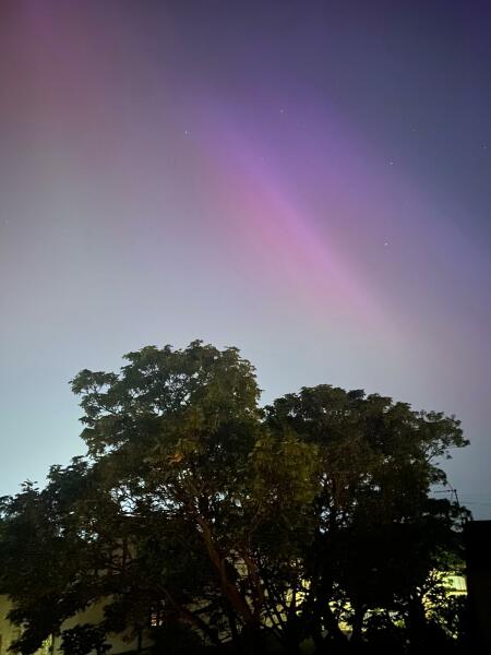 Did you see The Northern Lights (uk) any pictures?