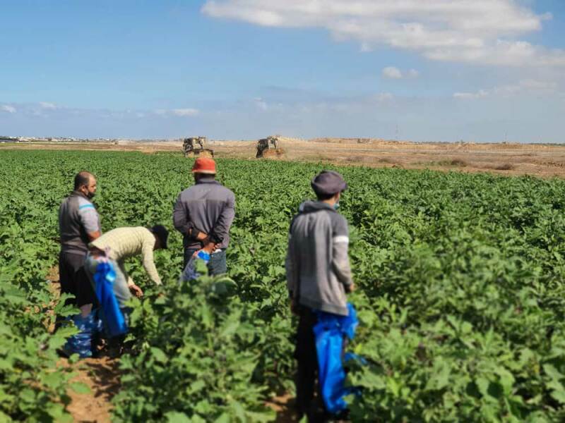 Two state Solution - is it possible?