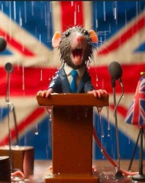 Why did Sunak call an election now?
