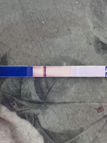 8DPO - for those with no willpower to not test!