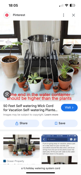Holiday houseplant watering system?