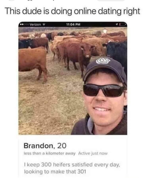 Am I wasting my time if I try internet dating?