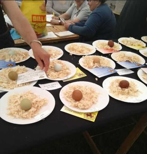 Thread 13 - TalkLair: “I say we take off and nuke the entire site from orbit. It's the only way to be sure.”