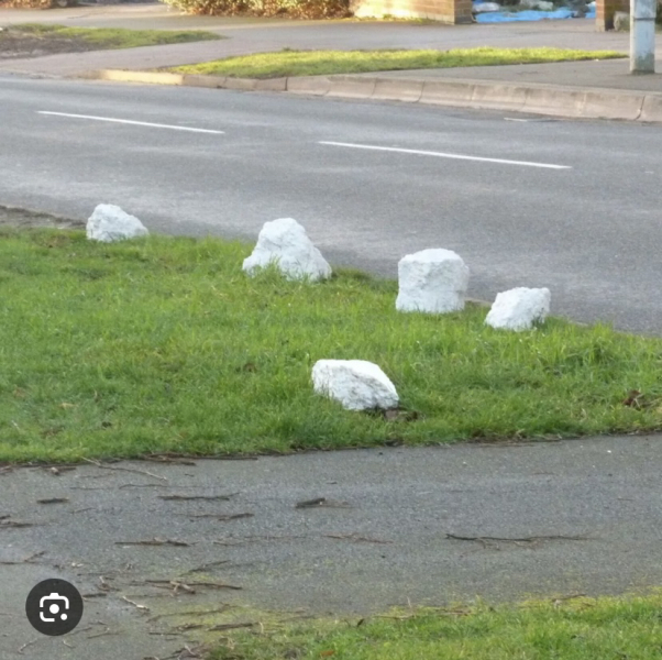 To put spikes in my front driveway flower bed.